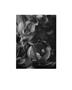 Page: - 52 | Aperture