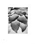 Page: - 53 | Aperture