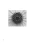 Page: - 55 | Aperture