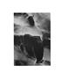 Page: - 6 | Aperture