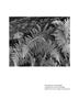 Page: - 61 | Aperture