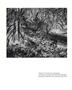Page: - 64 | Aperture
