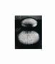 Page: - 72 | Aperture
