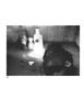 Page: - 40 | Aperture
