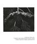 Page: - 68 | Aperture