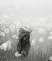 Page: - 0_1 | Aperture