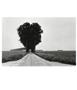 Page: - 19 | Aperture