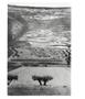 Page: - 21 | Aperture
