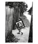 Page: - 31 | Aperture