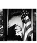 Page: - 47 | Aperture