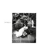 Page: - 51 | Aperture