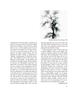 Page: - 57 | Aperture