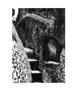 Page: - 8 | Aperture