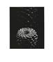 Page: - 15 | Aperture