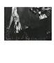 Page: - 16 | Aperture