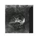 Page: - 4 | Aperture