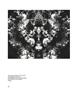 Page: - 49 | Aperture
