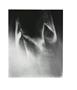 Page: - 6 | Aperture