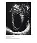 Page: - 77 | Aperture