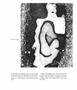 Page: - 35 | Aperture