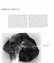 Page: - 42 | Aperture