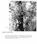 Page: - 81 | Aperture