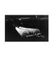 Page: - 122 | Aperture