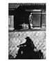 Page: - 124 | Aperture