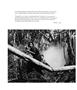 Page: - 20 | Aperture