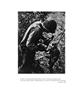 Page: - 21 | Aperture