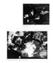 Page: - 30 | Aperture