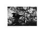 Page: - 38 | Aperture