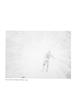 Page: - 39 | Aperture