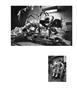 Page: - 46 | Aperture