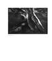 Page: - 60 | Aperture