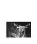 Page: - 61 | Aperture