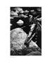 Page: - 63 | Aperture