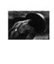 Page: - 82 | Aperture