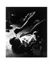 Page: - 83 | Aperture