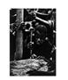 Page: - 85 | Aperture