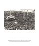 Page: - 101 | Aperture