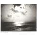 Page: - 49 | Aperture