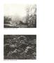 Page: - 61 | Aperture