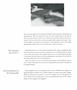 Page: - 49 | Aperture
