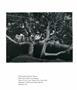 Page: - 66 | Aperture