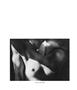 Page: - 29 | Aperture