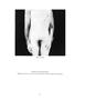 Page: - 47 | Aperture