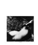 Page: - 50 | Aperture
