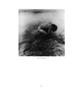 Page: - 52 | Aperture