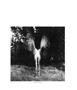 Page: - 53 | Aperture